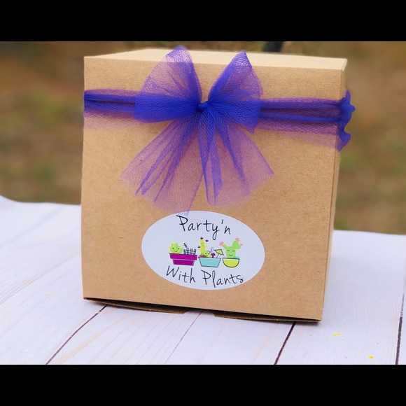 Succulent Terrarium Kit, Cactus terrarium Kit DIY - Picture 4 of 8